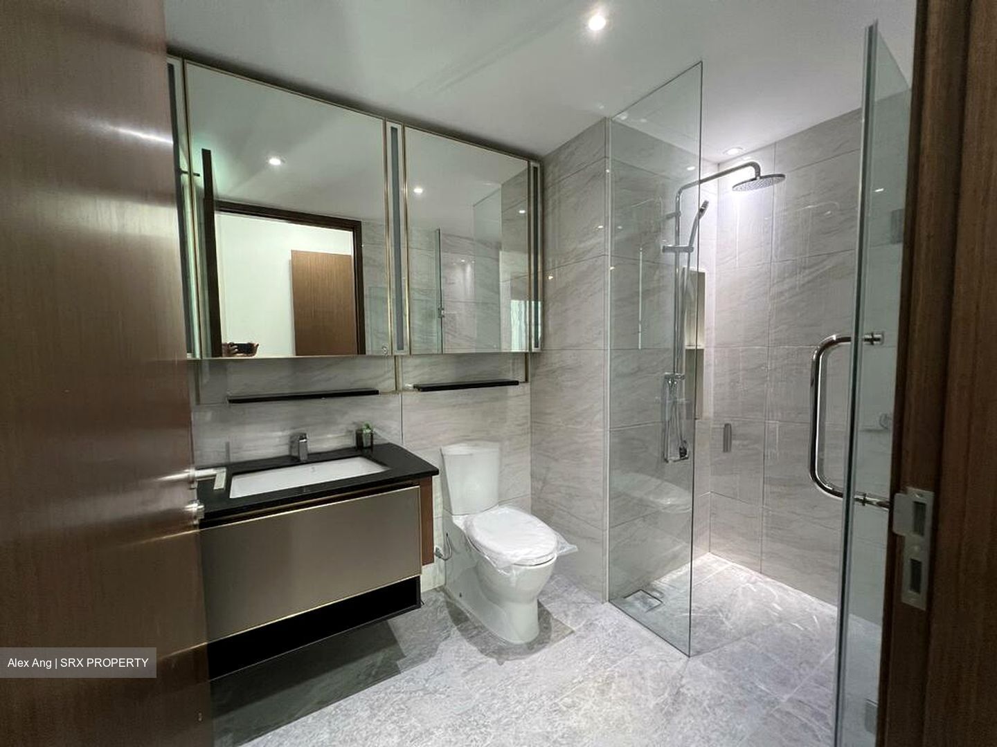 Normanton Park (D5), Apartment #520439351